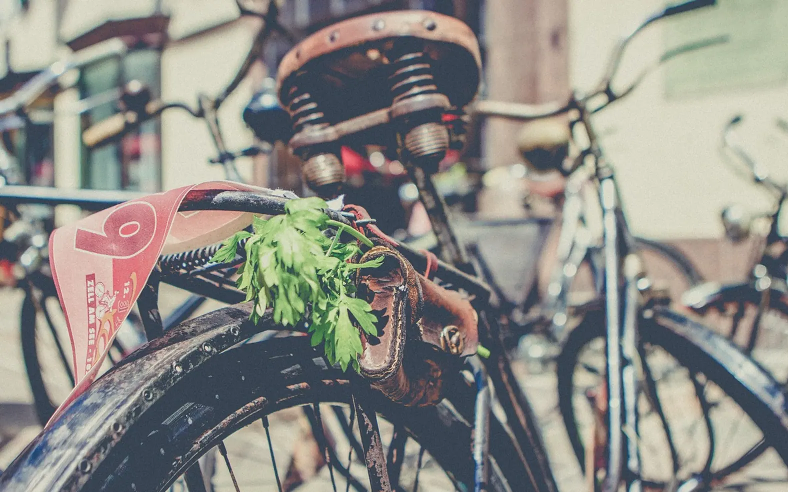 Bicycle, tire and old