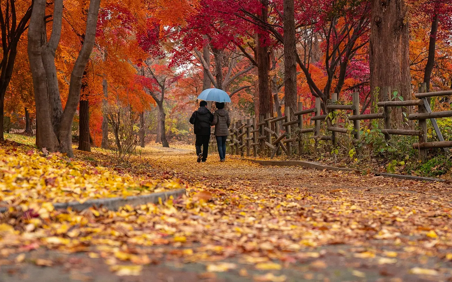 Couple, park and nature