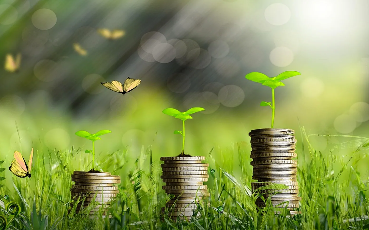 Money, plants and growth